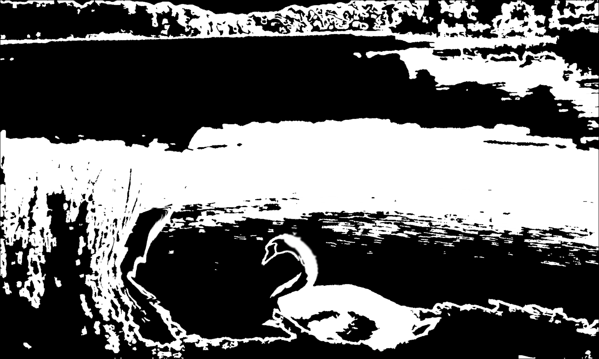 klaus-ullmann-uncolored-art-6